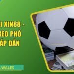 Kèo nhà cái Xin88