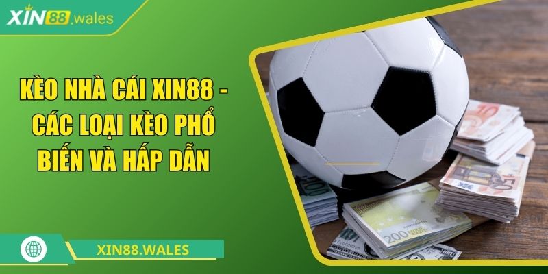 Kèo Nhà Cái Xin88 - Các Loại Kèo Phổ Biến Và Hấp Dẫn 5 Kèo nhà cái Xin88